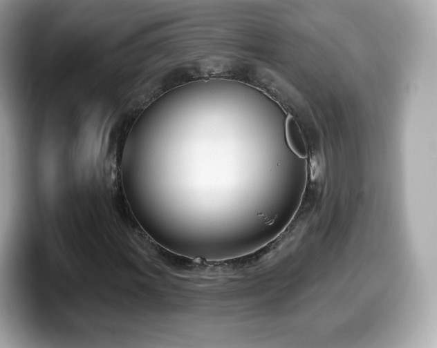 X0000099971011200805231400