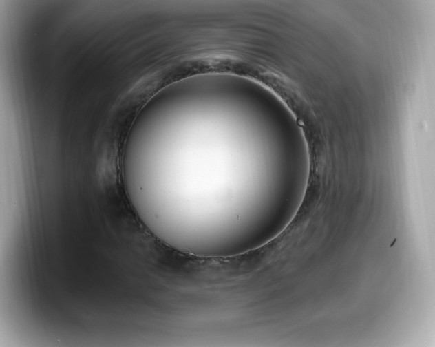 X0000099971014200805231400