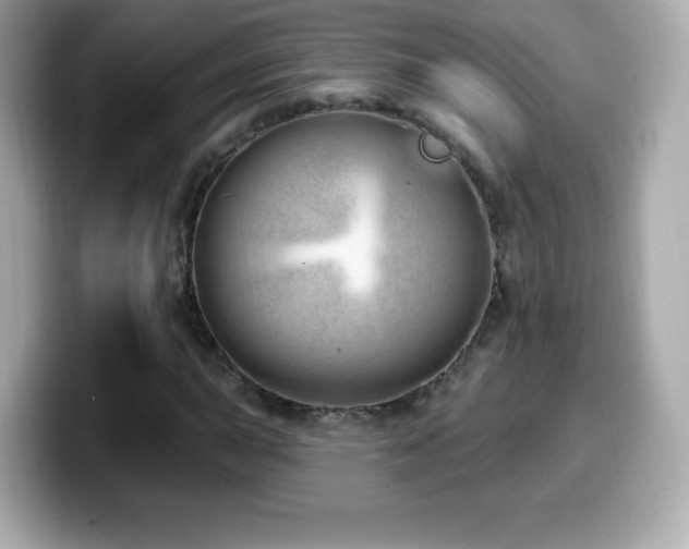 X0000099971015200805231400
