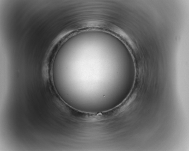 X0000099971019200805231400