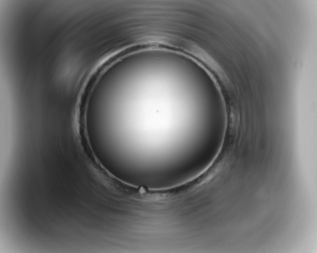 X0000099971020200805231401