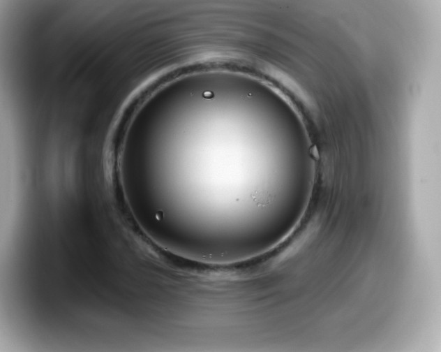 X0000099971021200805231401