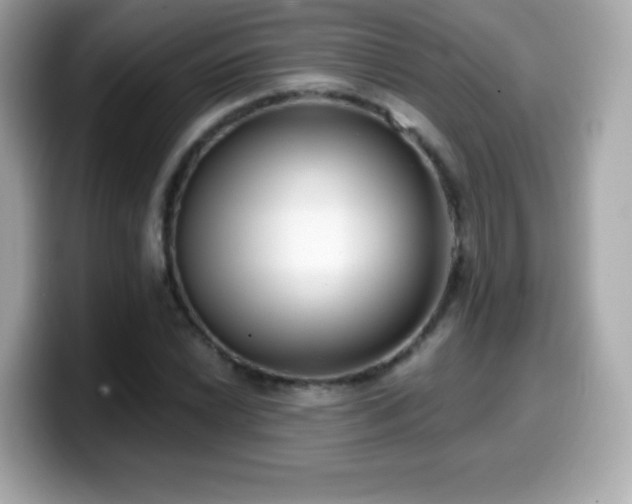 X0000099971022200805231401