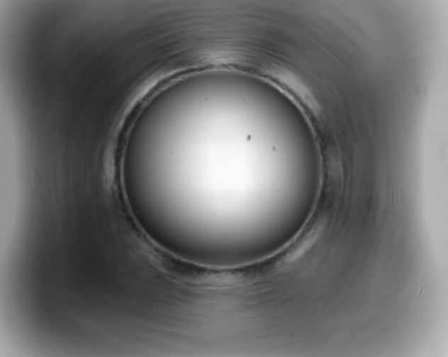 X0000099971023200805231401