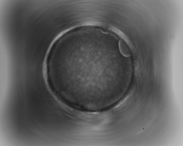 X0000099971024200805231401