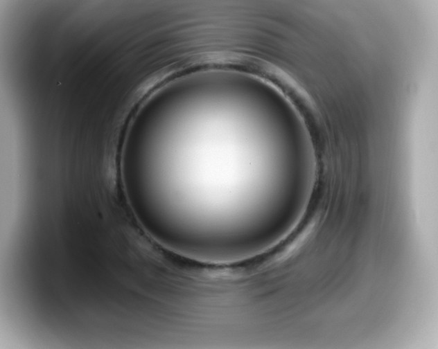 X0000099971025200805231401