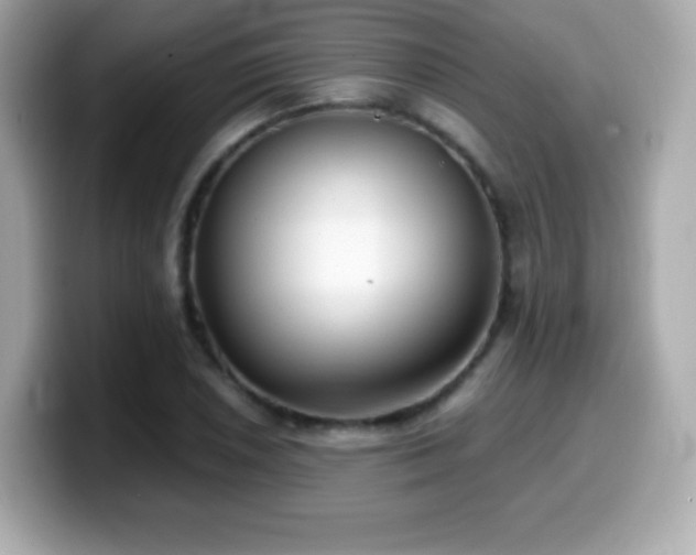 X0000099971026200805231401