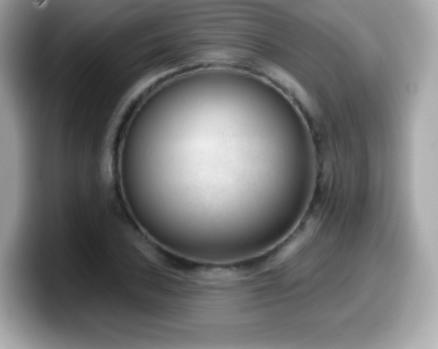 X0000099971027200805231401