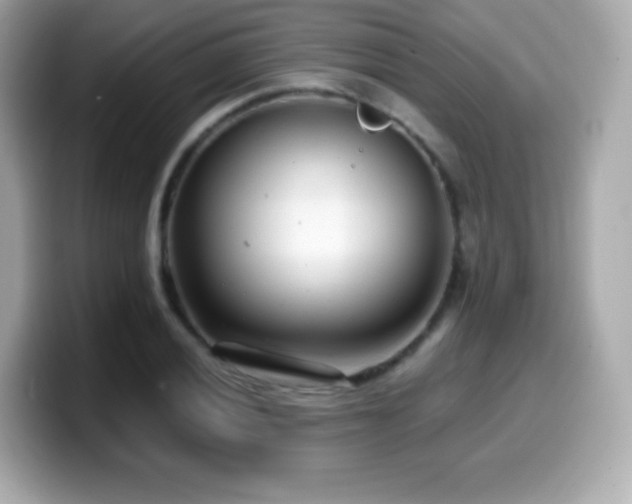 X0000099971028200805231401