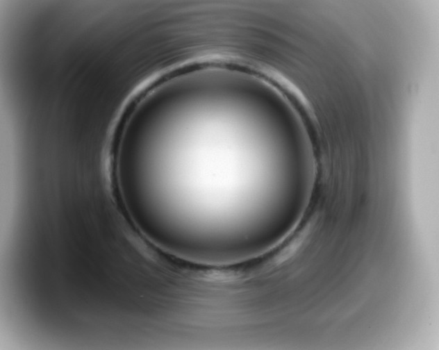 X0000099971029200805231401
