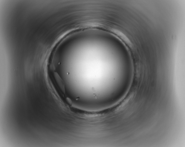 X0000099971031200805231401
