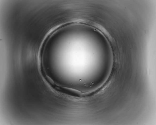 X0000099971032200805231401