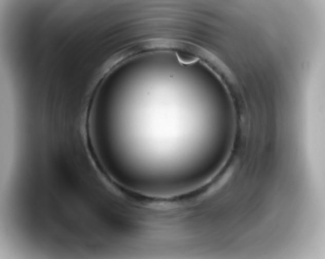 X0000099971033200805231401