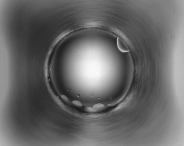 X0000099971034200805231401