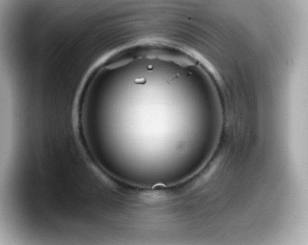 X0000099971037200805231401