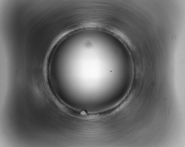 X0000099971038200805231401