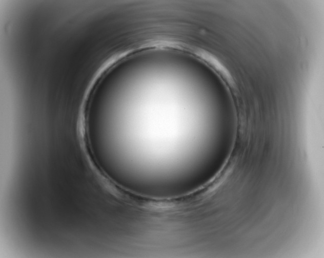 X0000099971040200805231401