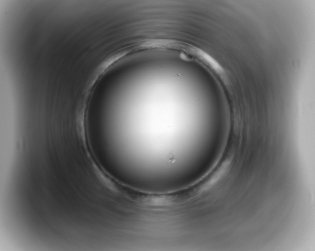X0000099971041200805231401
