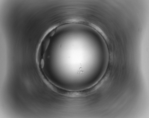 X0000099971042200805231401