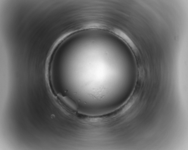 X0000099971043200805231401