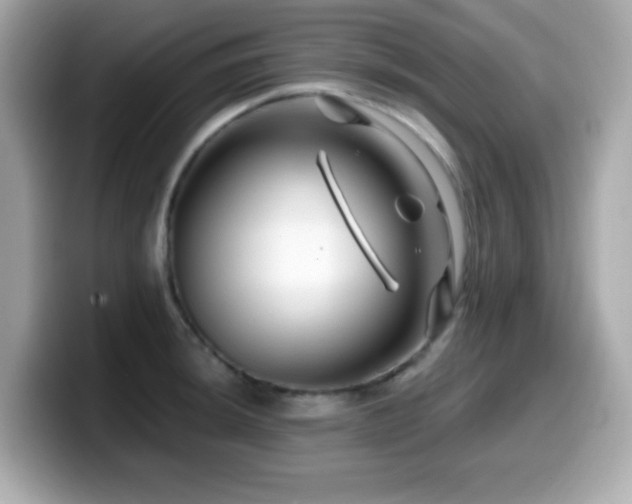 X0000099971044200805231401