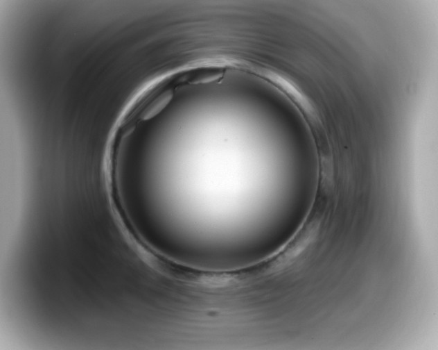 X0000099971046200805231401