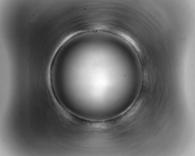 X0000099971047200805231401