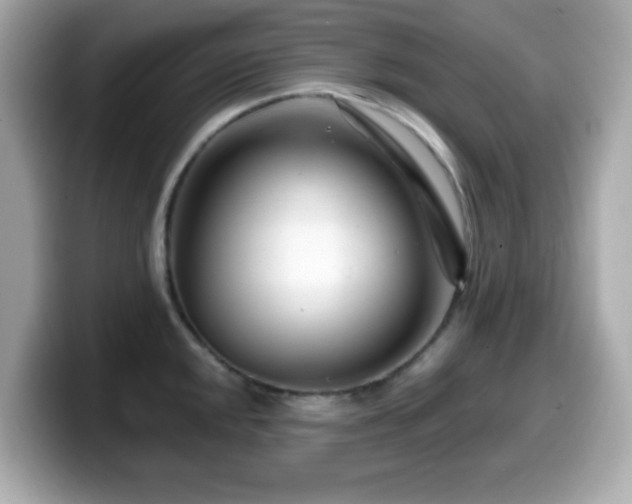 X0000099971048200805231401
