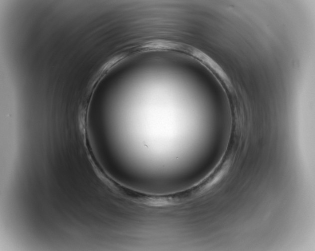 X0000099971049200805231401