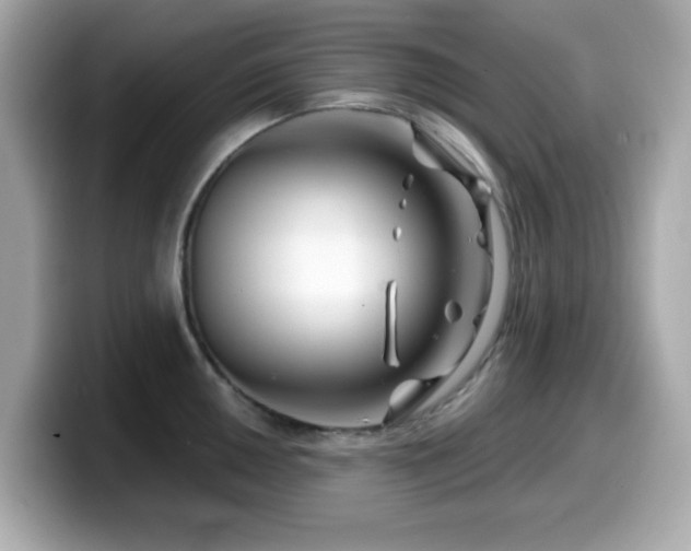 X0000099971050200805231401