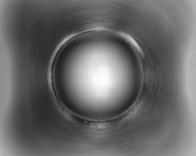 X0000099971051200805231401