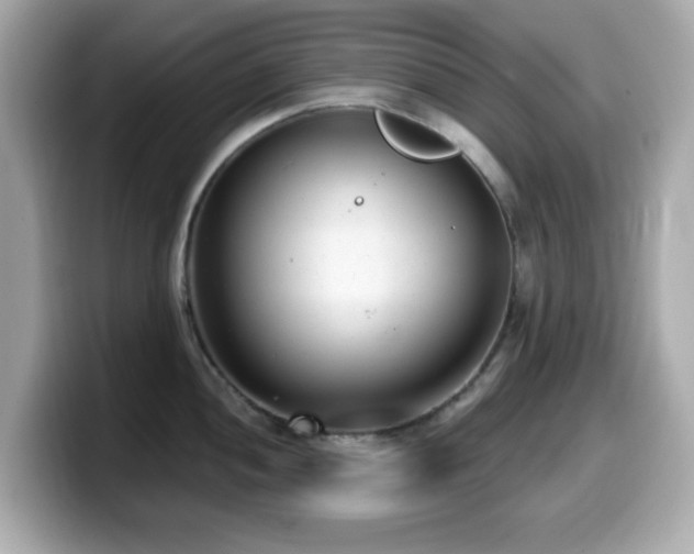 X0000099971052200805231401