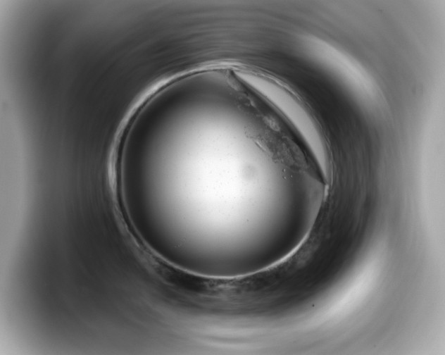 X0000099971054200805231401