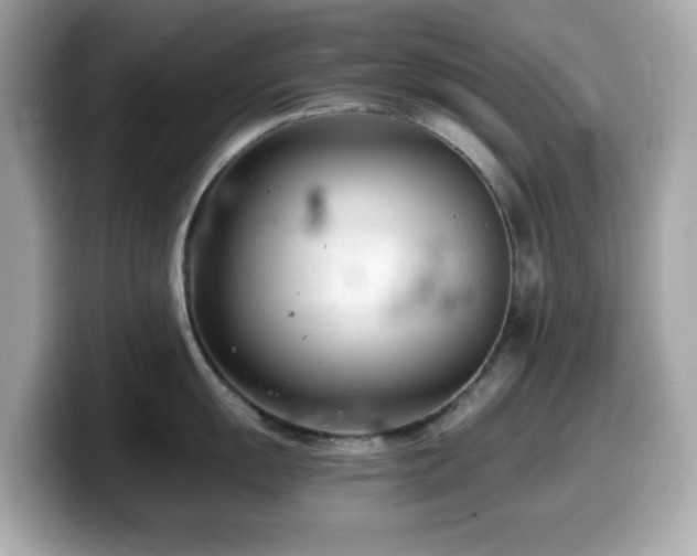 X0000099971055200805231401