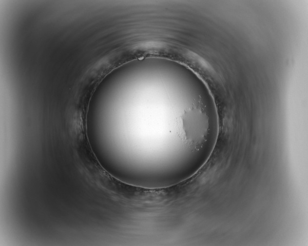 X0000099971062200805231400