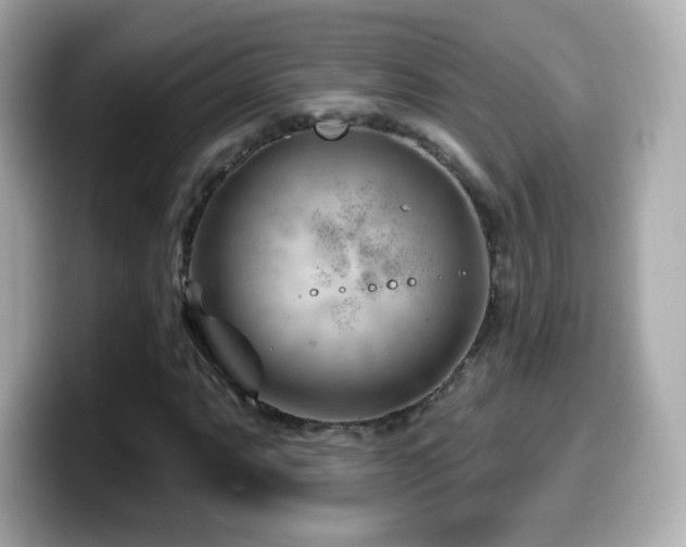X0000099971063200805231400
