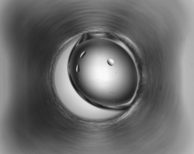X0000099971065200805231400