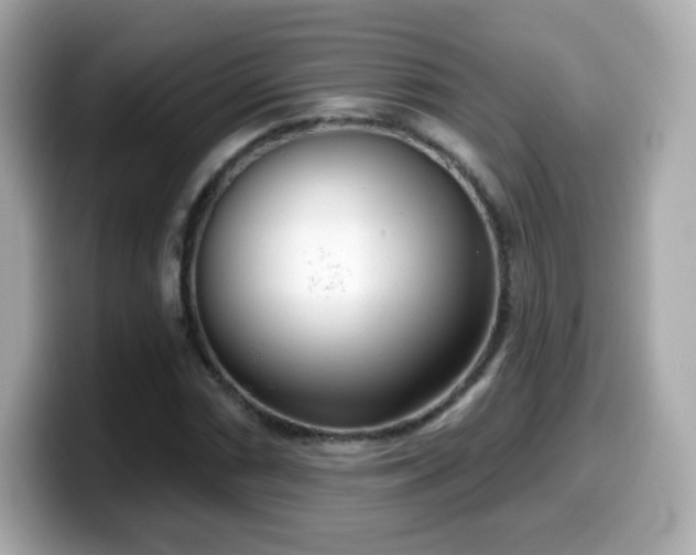 X0000099971066200805231400