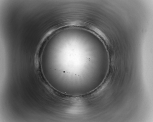 X0000099971067200805231400