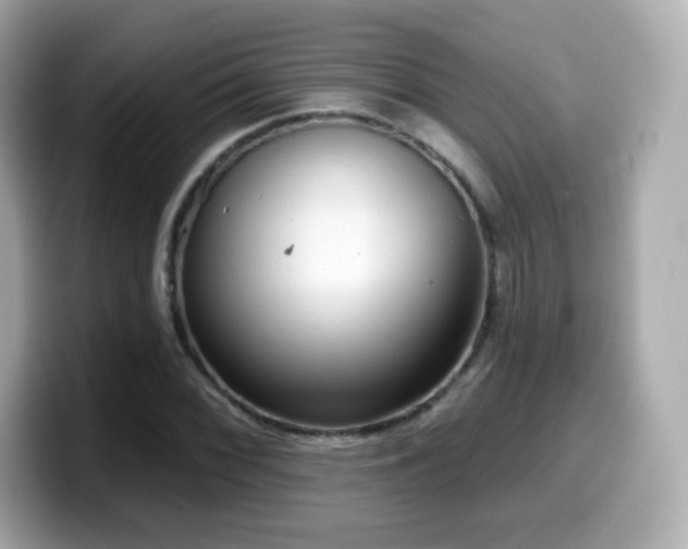 X0000099971068200805231400