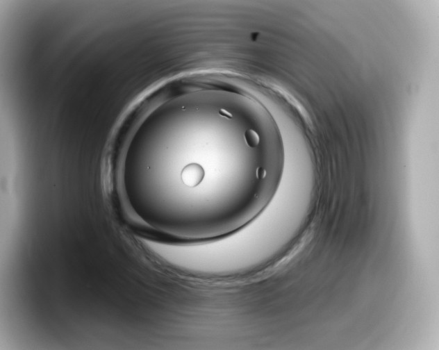 X0000099971069200805231400