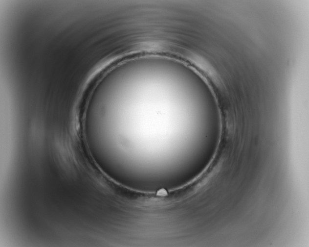 X0000099971070200805231400