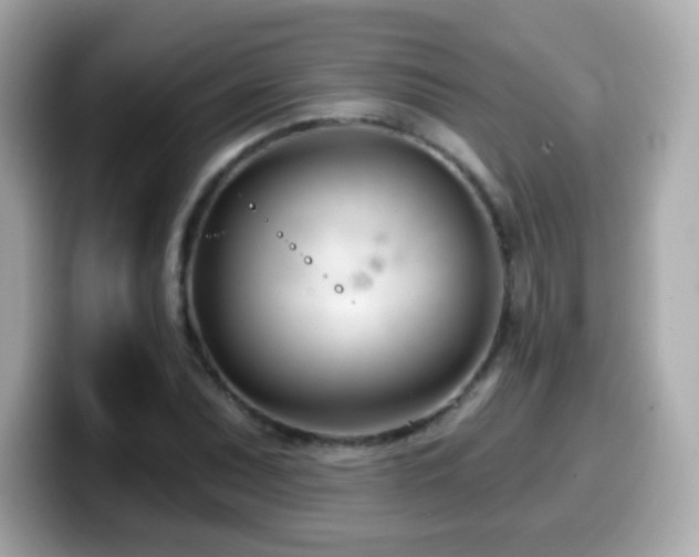X0000099971071200805231400