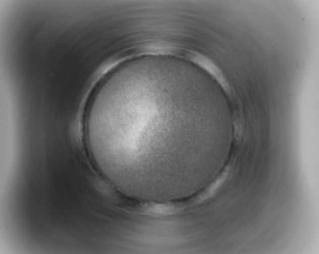 X0000099971074200805231400