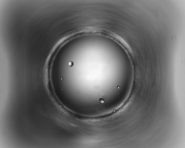 X0000099971075200805231400