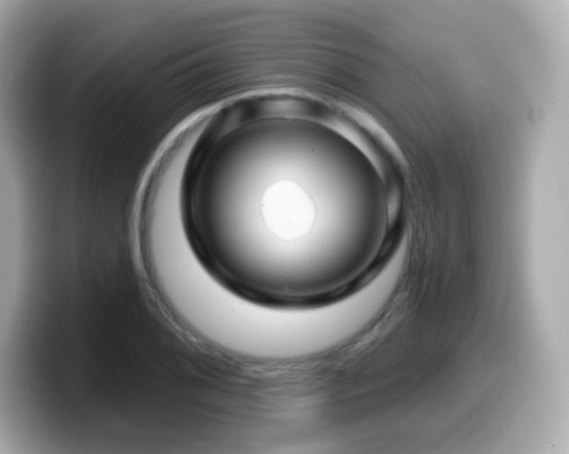 X0000099971076200805231400