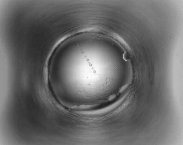 X0000099971079200805231400