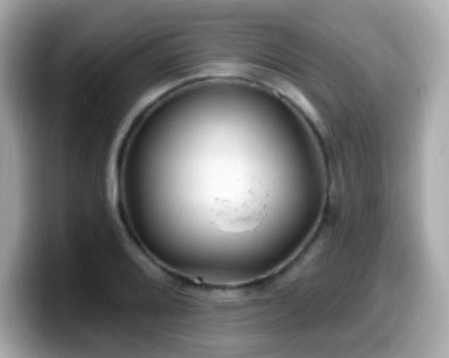 X0000099971080200805231400