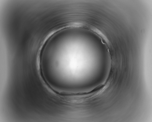 X0000099971083200805231400