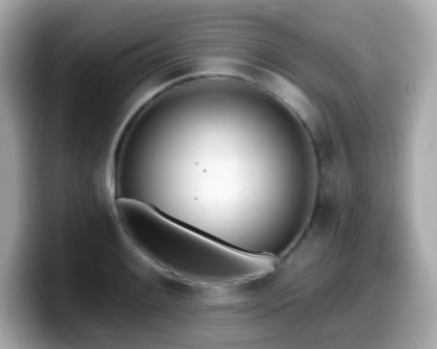 X0000099971084200805231400